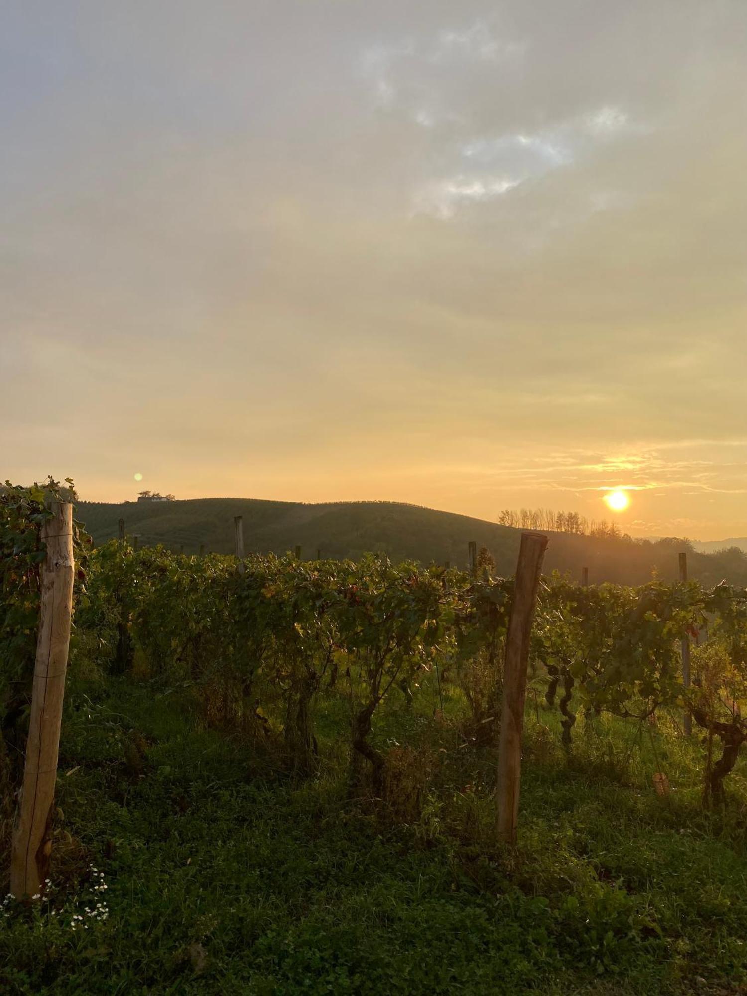 Tenuta Agricola La Cava- Cantina E Agriturismo San Damiano d'Asti Luaran gambar