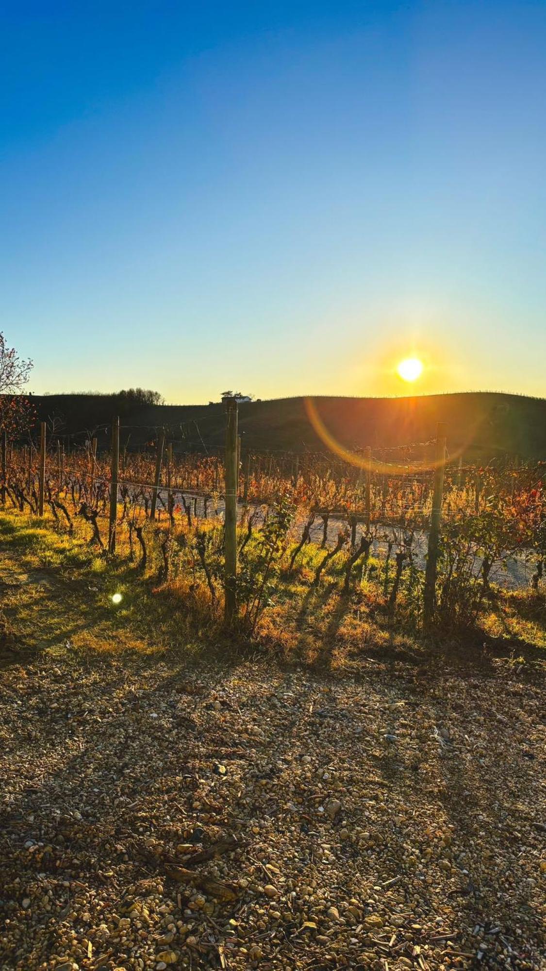 Tenuta Agricola La Cava- Cantina E Agriturismo San Damiano d'Asti Luaran gambar