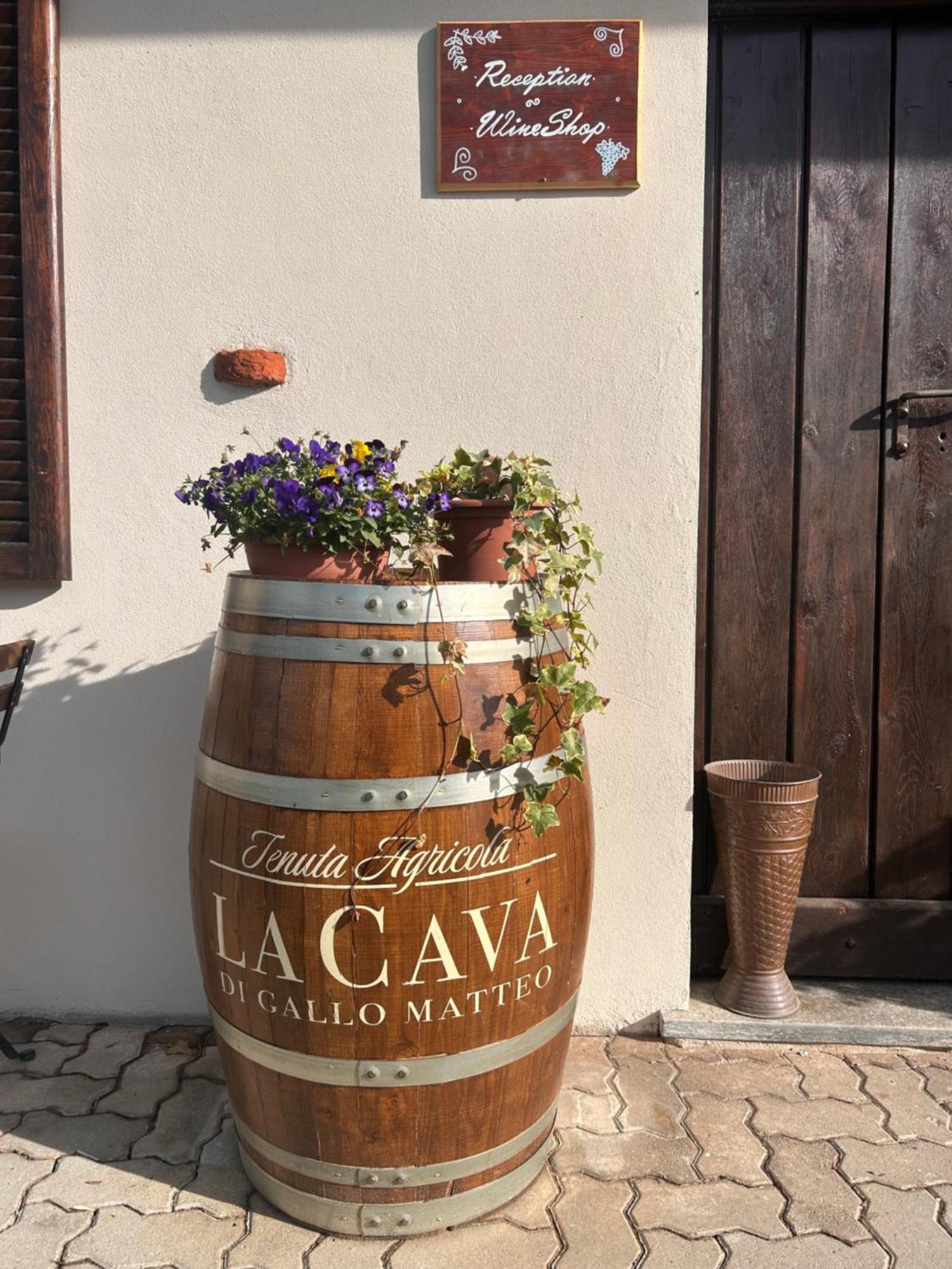 Tenuta Agricola La Cava- Cantina E Agriturismo San Damiano d'Asti Luaran gambar