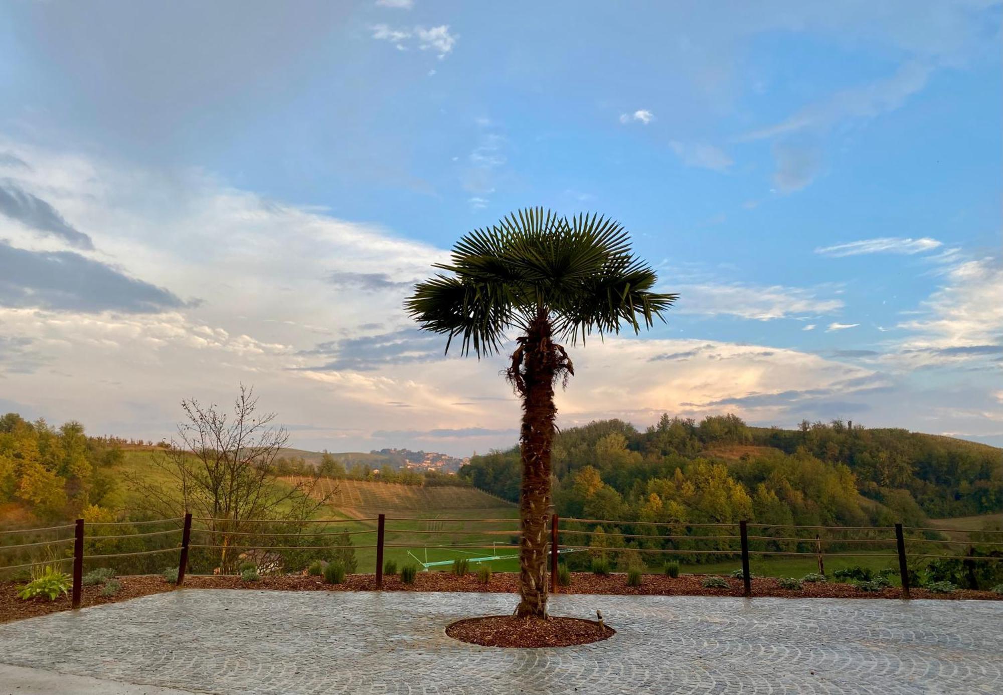 Tenuta Agricola La Cava- Cantina E Agriturismo San Damiano d'Asti Luaran gambar